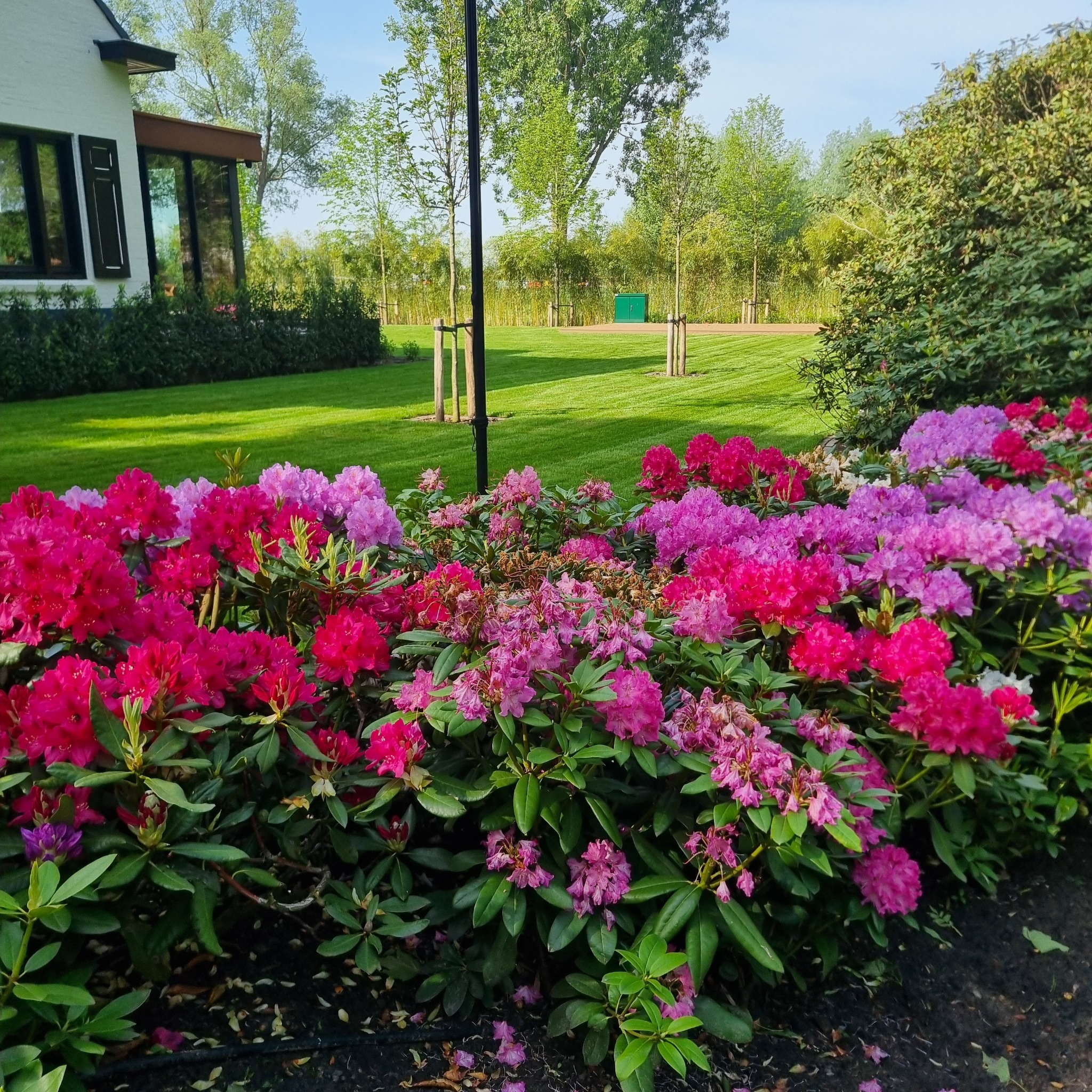 Bloeiende beplanting en verzorgd gazon