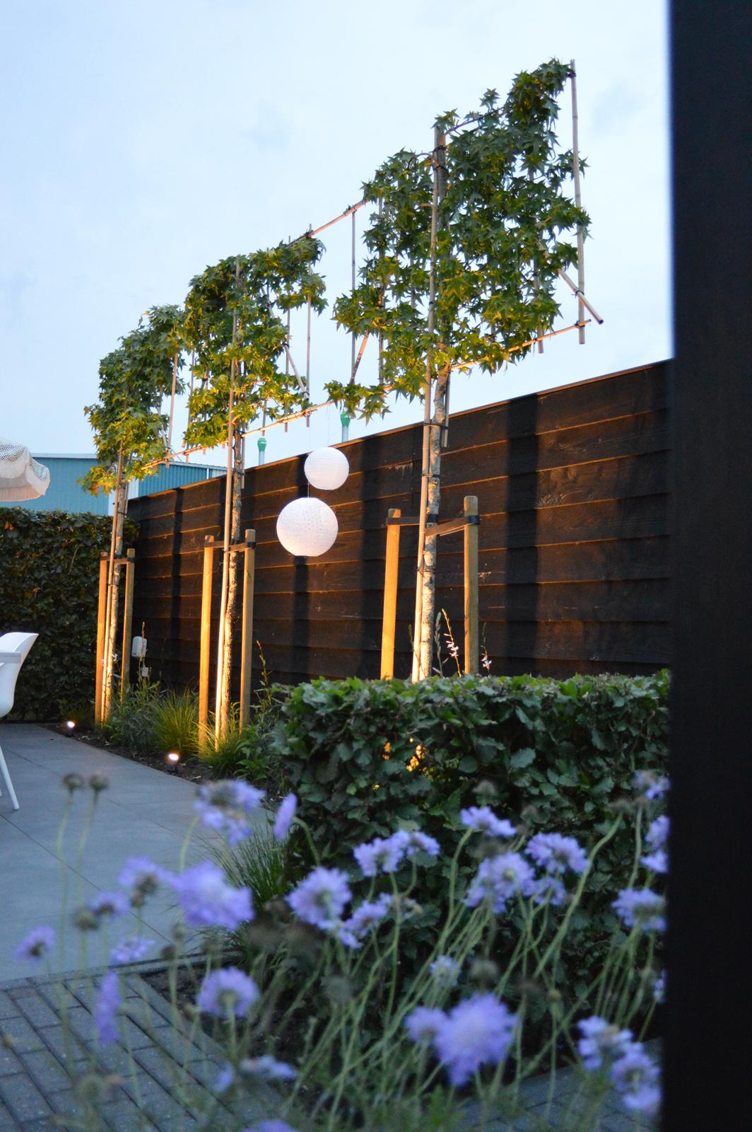 Sfeervolle tuin met verlichting